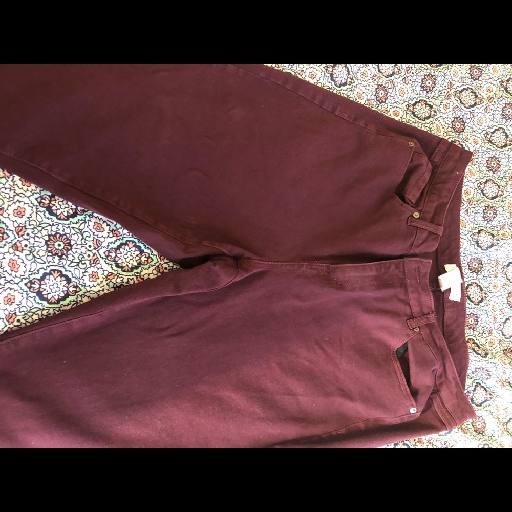 Lane Bryant Maroon Jeans